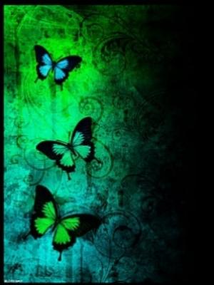 Butterfly Darkness.jpg